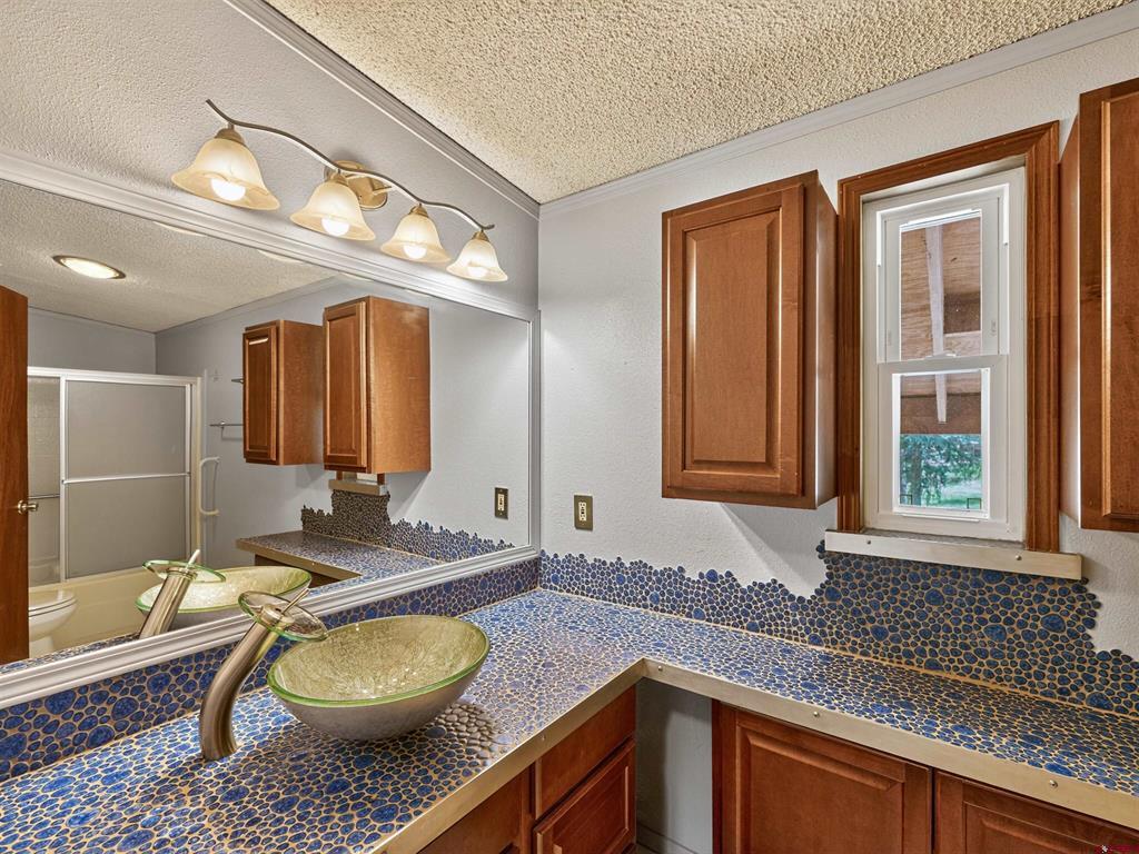 1029 W Vallecito Creek Road Bayfield CO 81122