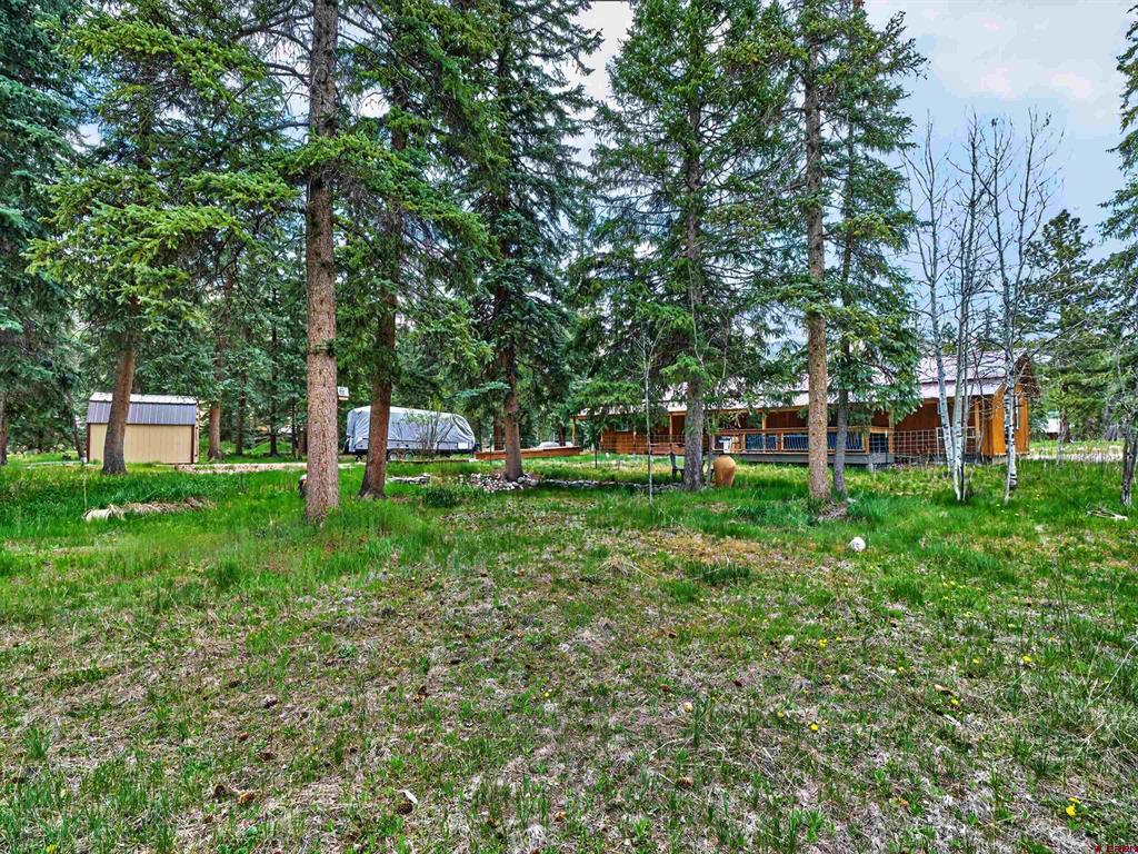 1029 W Vallecito Creek Road Bayfield CO 81122
