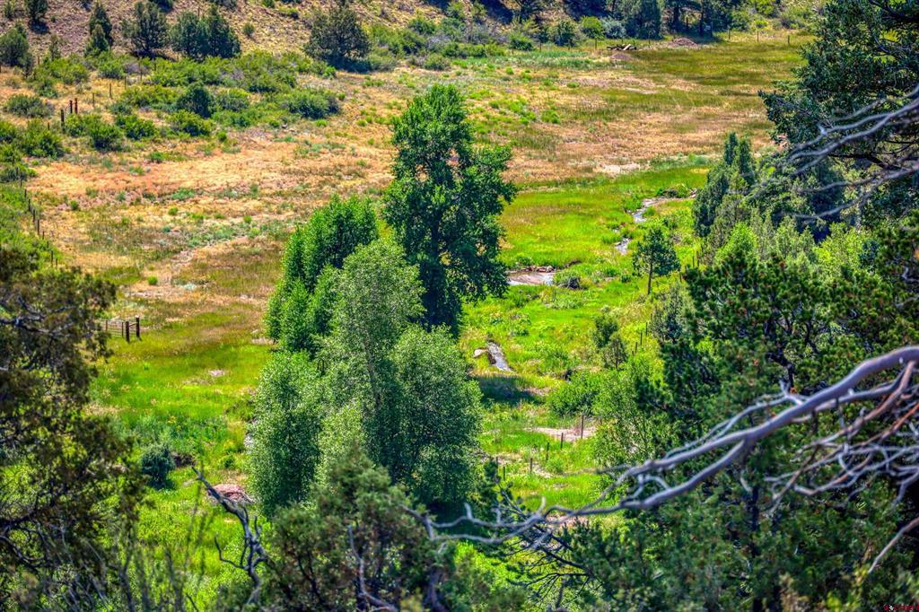 326 Soaring Eagle Lane South Fork CO 81154