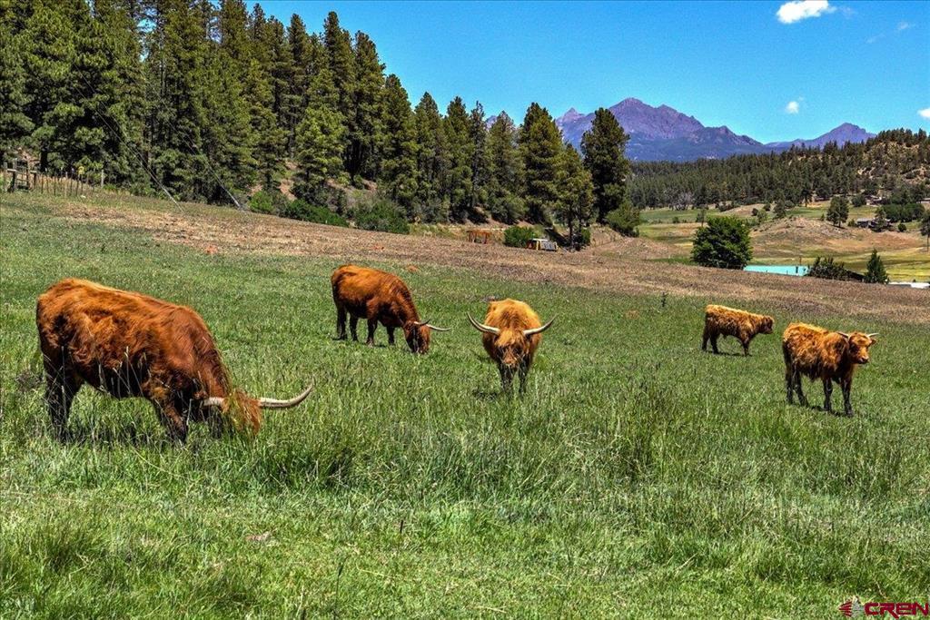 1801 Cr 400 Pagosa Springs CO 81147