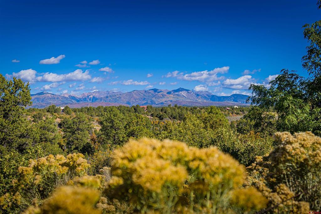 559 Miramonte Drive Hesperus CO 81326