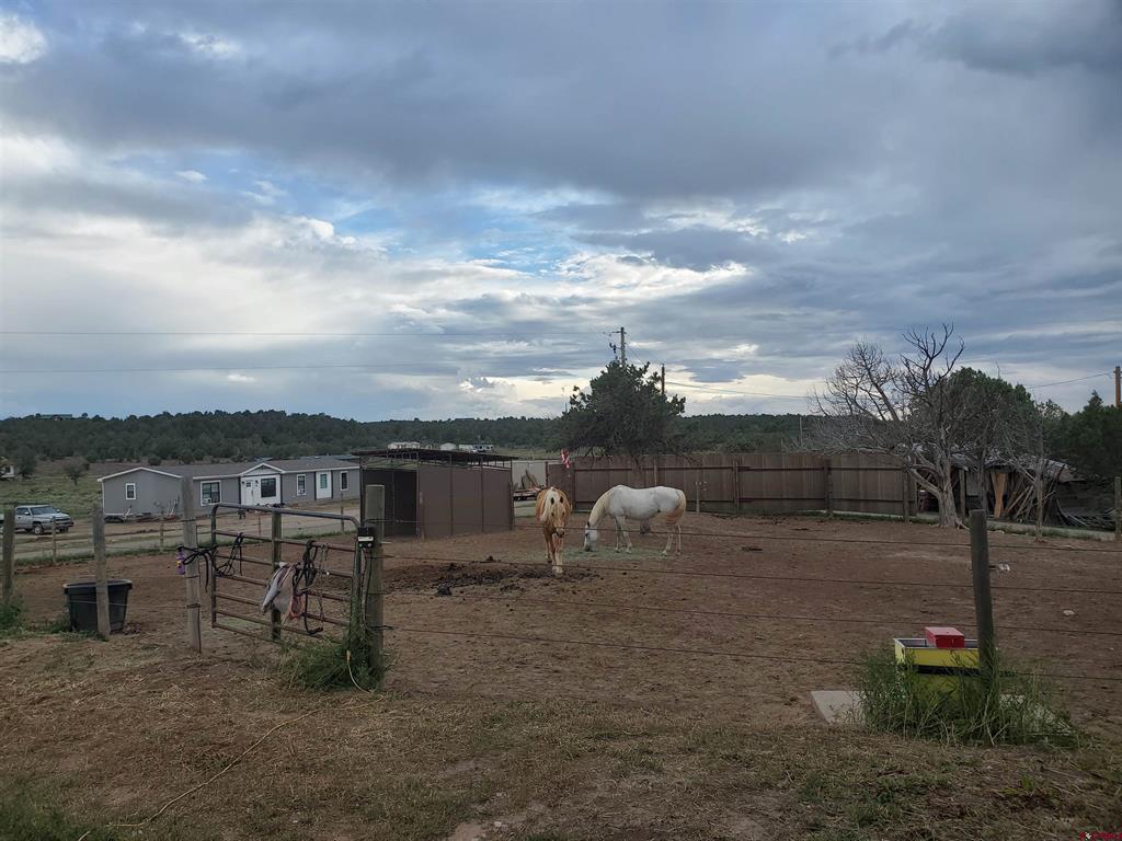 5095 & 5093 County Road 311 Ignacio CO 81137