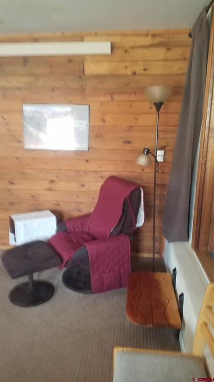 44 Whispering Pines Drive Ouray CO 81427