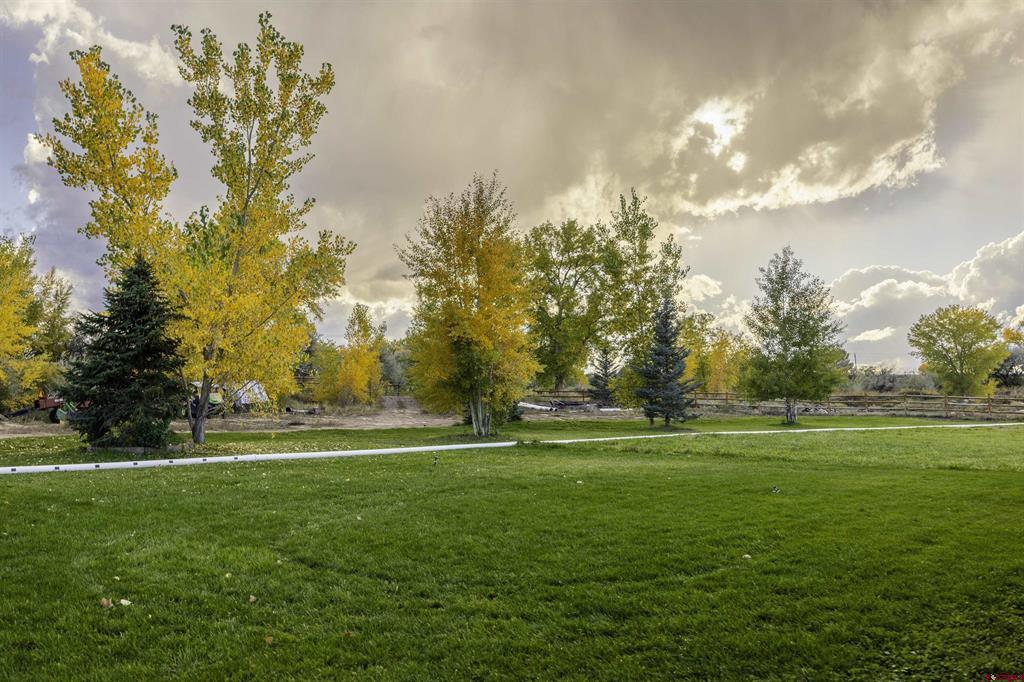 58922 Mallard Lane Montrose CO 81403