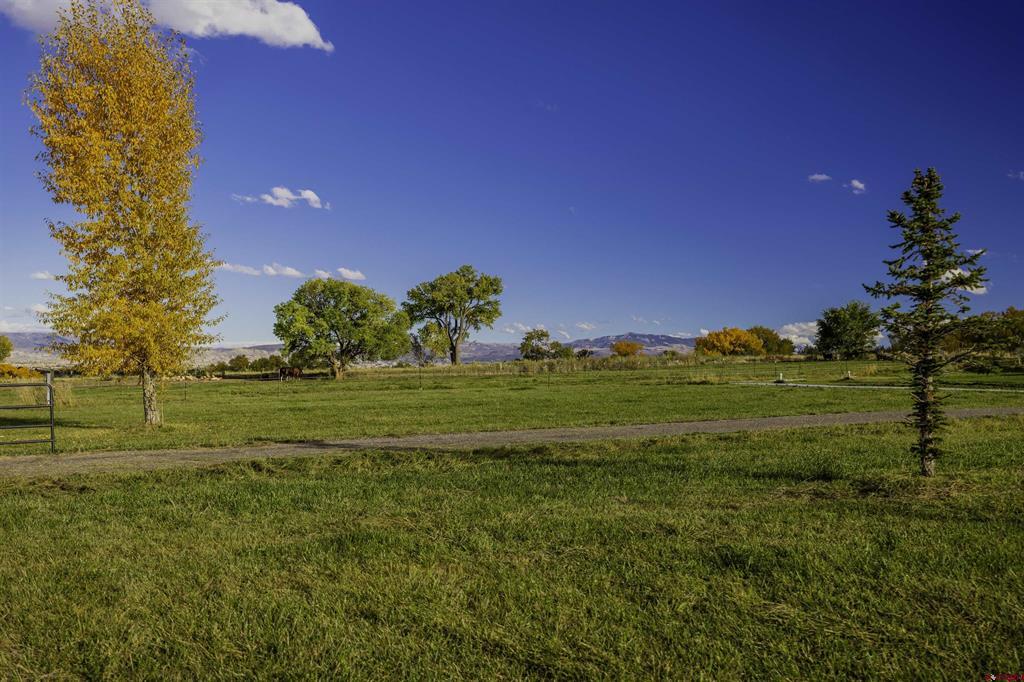 58922 Mallard Lane Montrose CO 81403