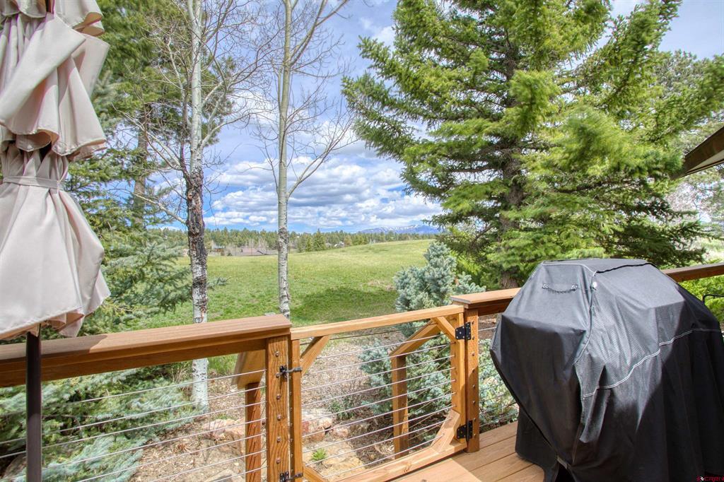 296 Carlee Place Pagosa Springs CO 81147