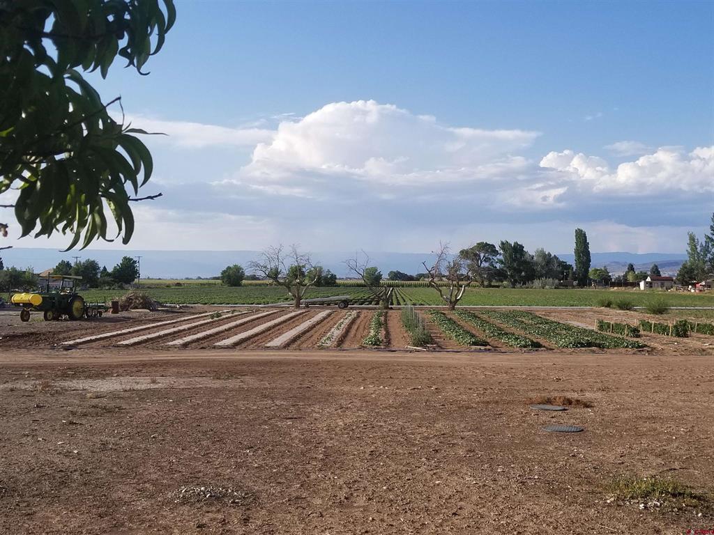 62915 Spring Creek Road Montrose CO 81403