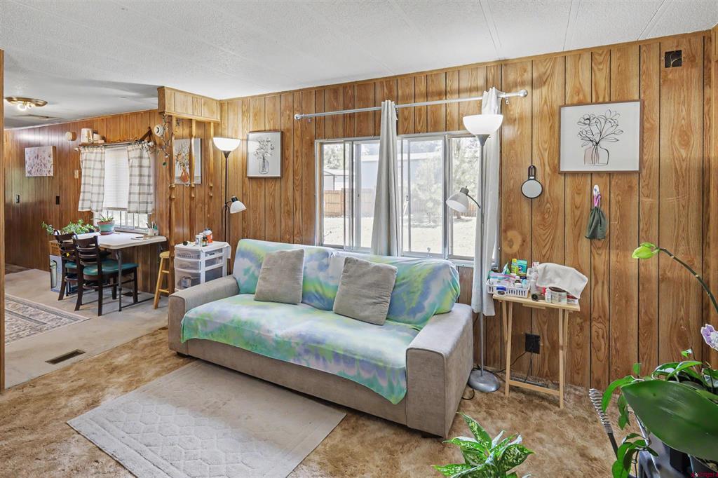 412 Fireside Street Pagosa Springs CO 81147
