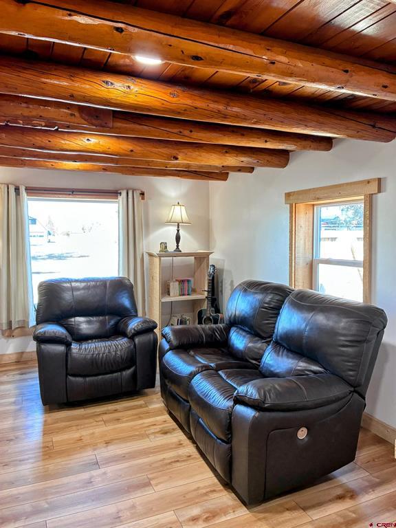 1125 6th Street Del Norte CO 81132