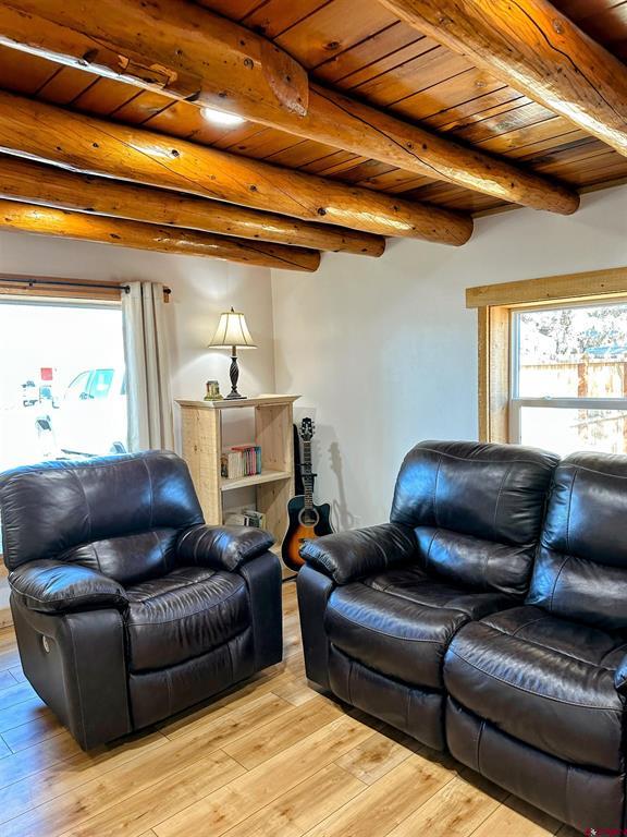 1125 6th Street Del Norte CO 81132