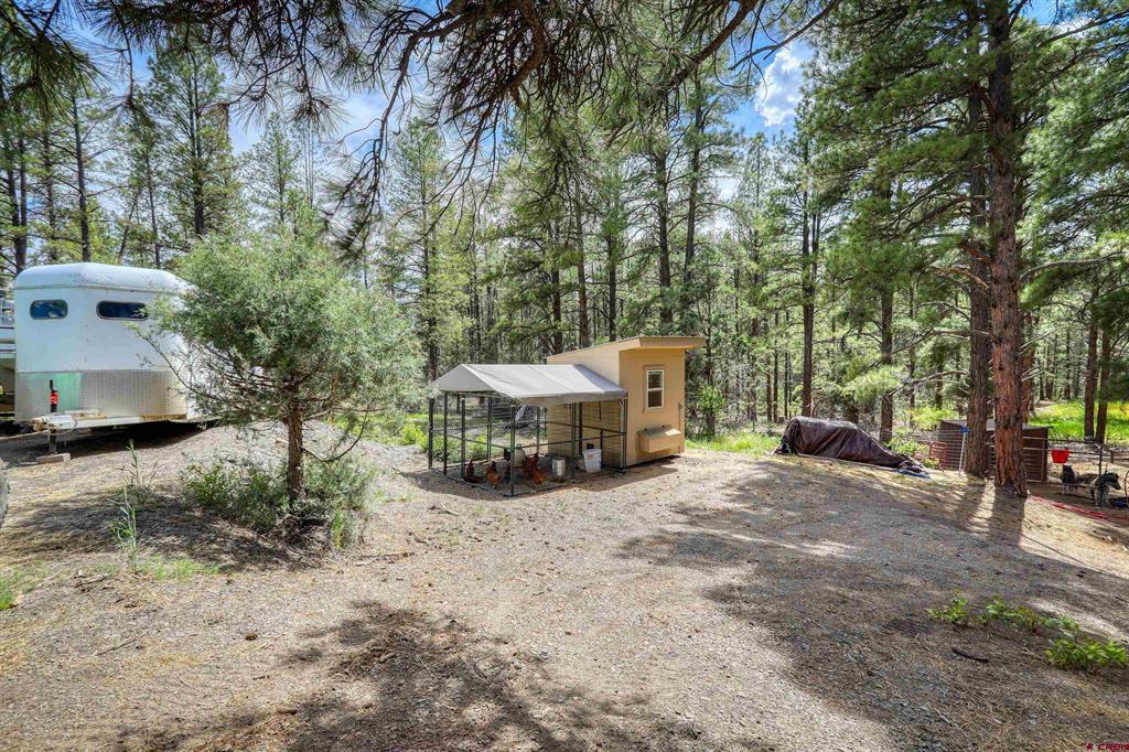 281 Snowbird Lane Pagosa Springs CO 81147