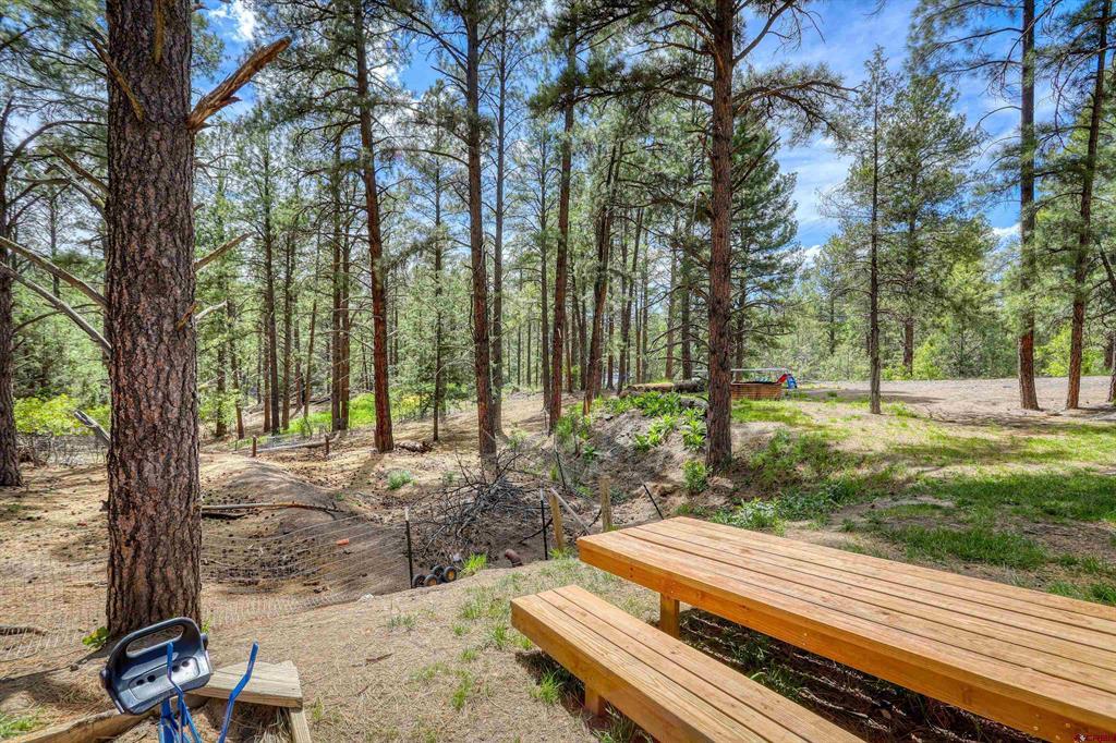281 Snowbird Lane Pagosa Springs CO 81147