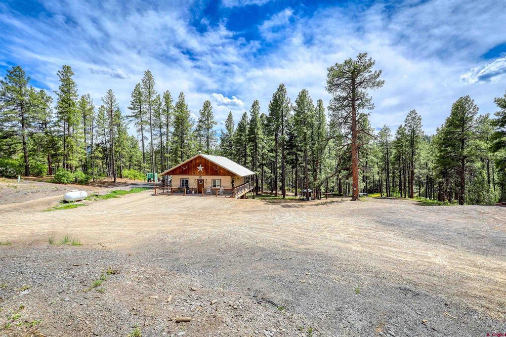 281 Snowbird Lane Pagosa Springs CO 81147