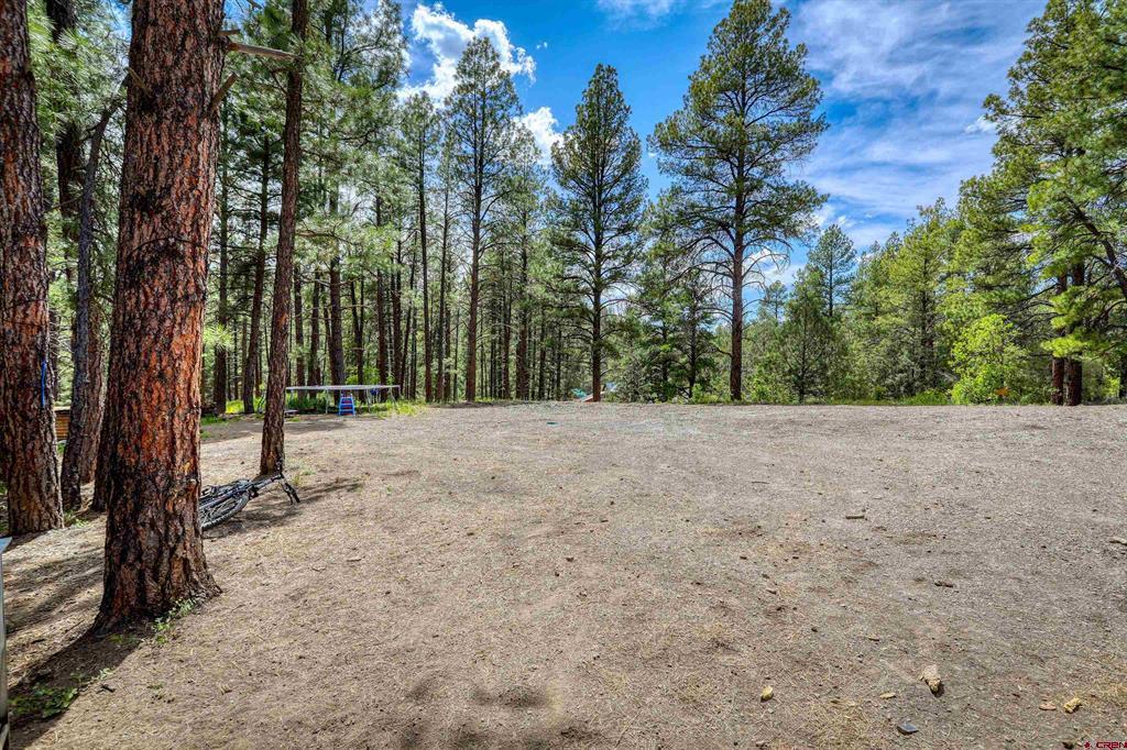 281 Snowbird Lane Pagosa Springs CO 81147
