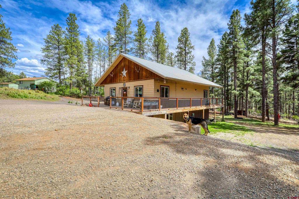 281 Snowbird Lane Pagosa Springs CO 81147