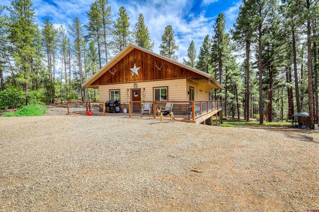 281 Snowbird Lane Pagosa Springs CO 81147