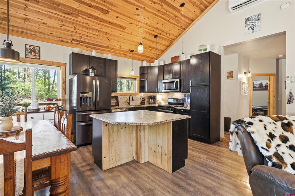 281 Snowbird Lane Pagosa Springs CO 81147