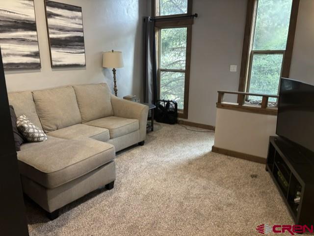 545 Reese Street Silverton CO 81433