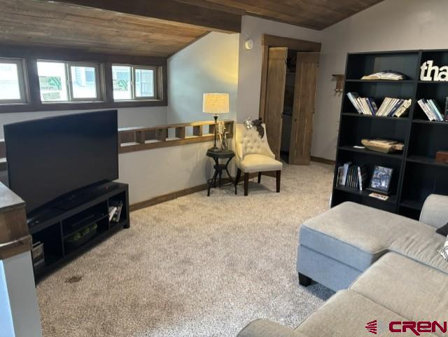 545 Reese Street Silverton CO 81433