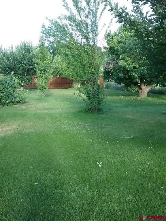 13467 L Road Montrose CO 81403