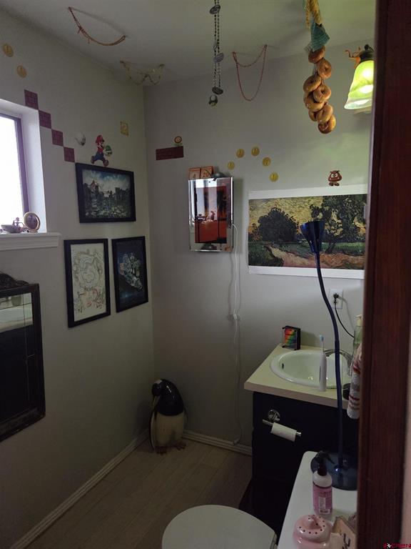2907 Richard Drive Durango CO 81301
