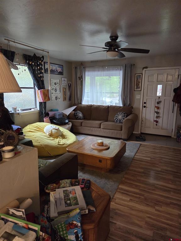 2907 Richard Drive Durango CO 81301
