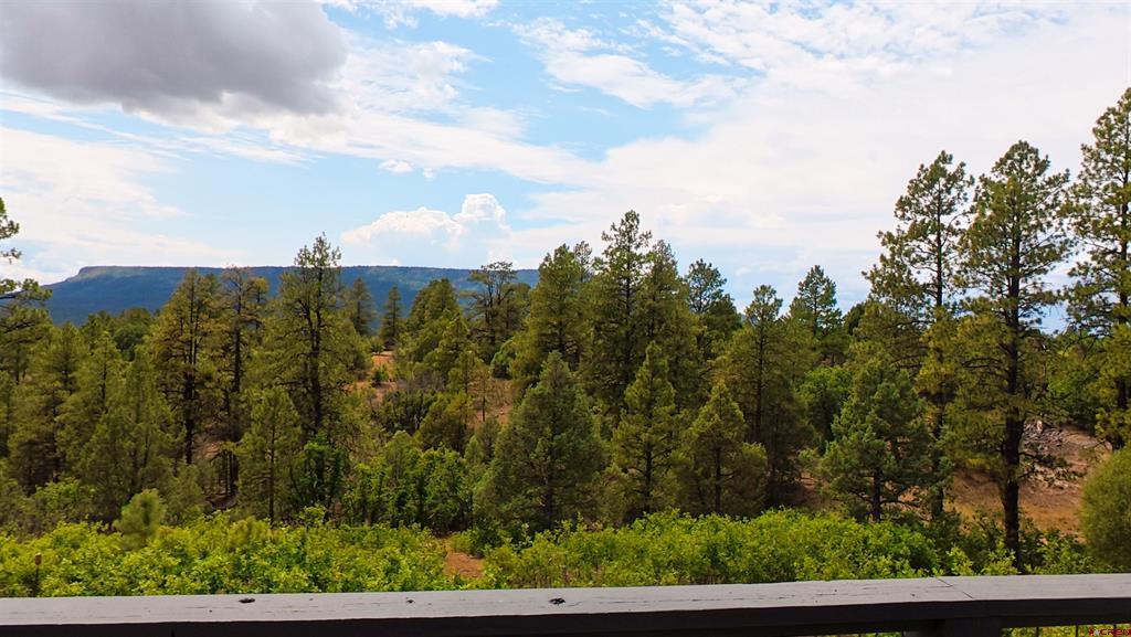 609 S Black Bear Place Pagosa Springs CO 81147