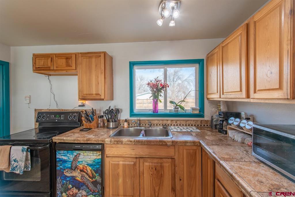 113 Vista View Drive Montrose CO 81401