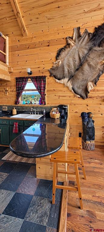 404 Sunrise Road South Fork CO 81154