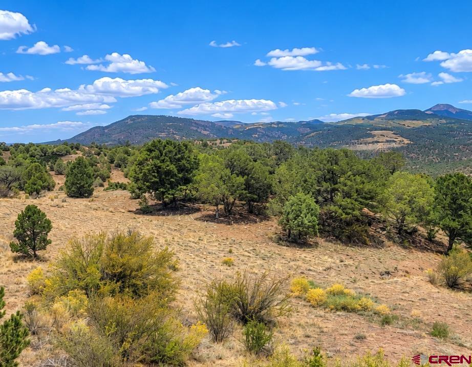 404 Sunrise Road South Fork CO 81154