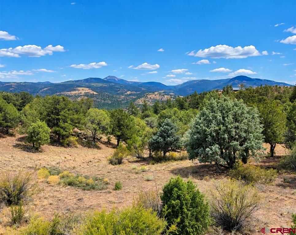 404 Sunrise Road South Fork CO 81154