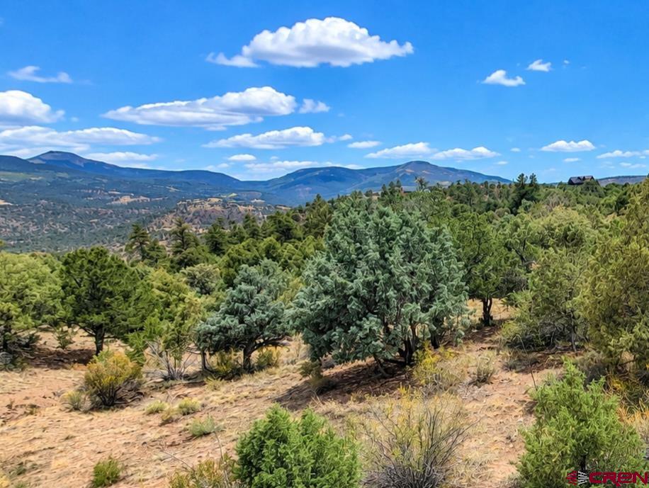404 Sunrise Road South Fork CO 81154
