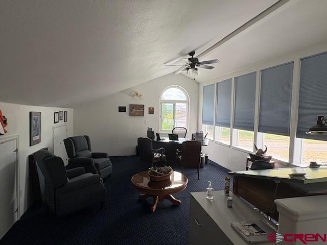 1045 Fairway Lane Gunnison CO 81230