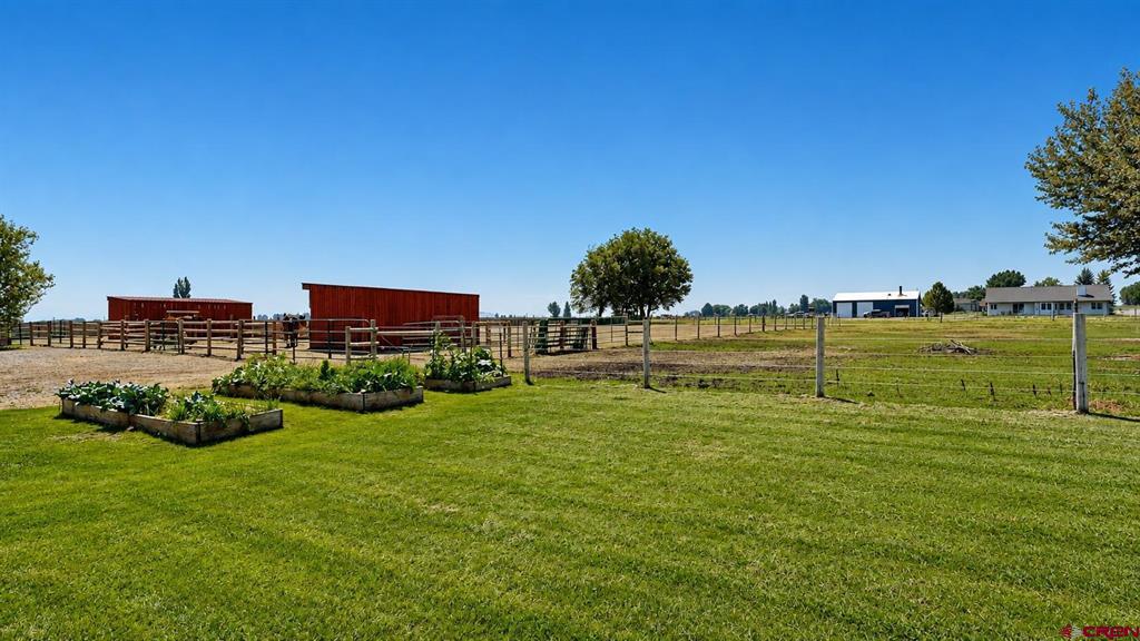 12656 6100 Road Montrose CO 81403