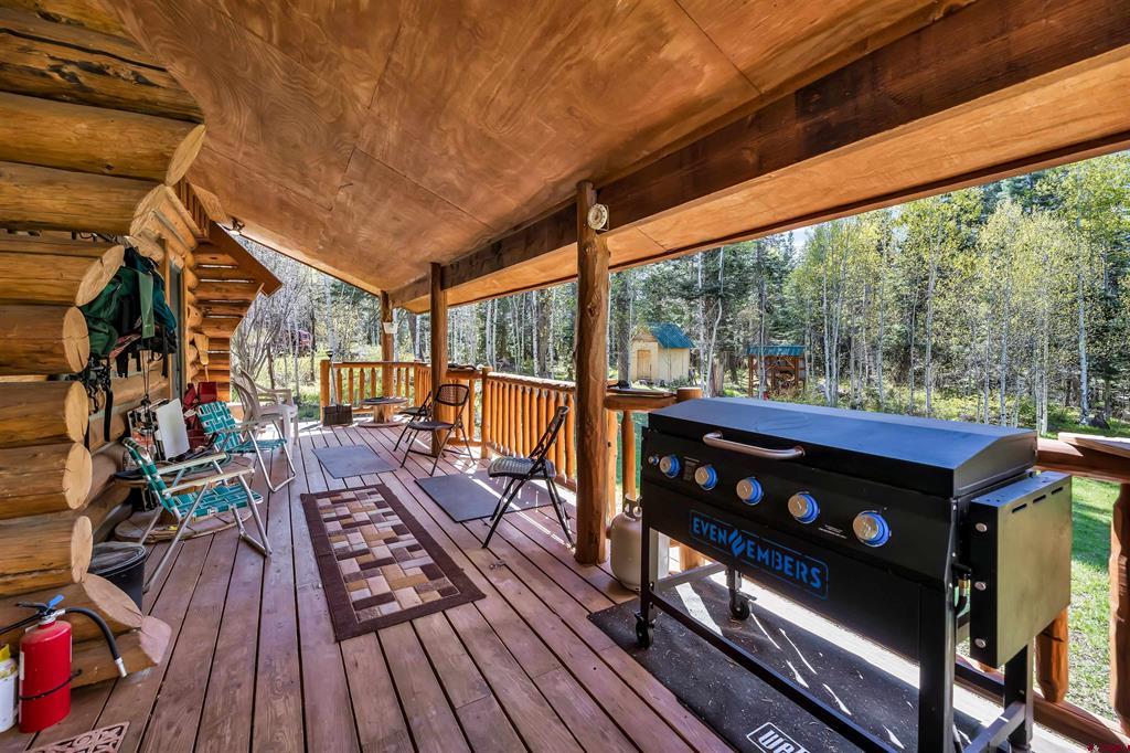 300C Columbine Drive Pagosa Springs CO 81147