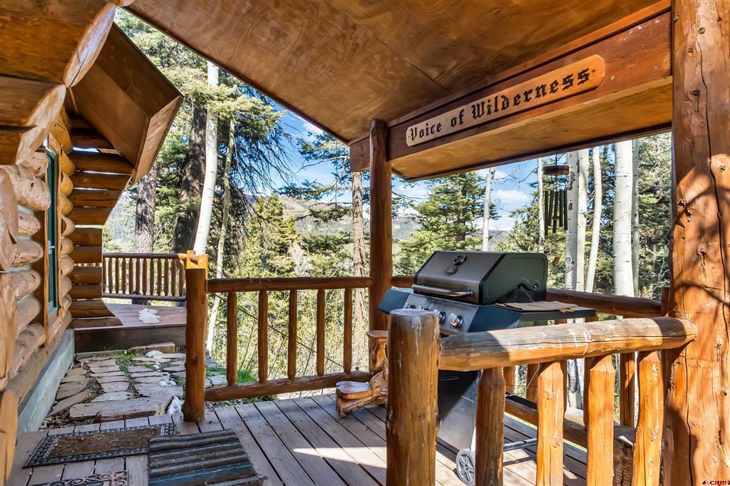 300C Columbine Drive Pagosa Springs CO 81147