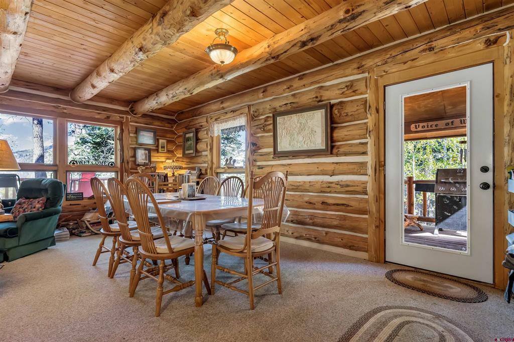 300C Columbine Drive Pagosa Springs CO 81147