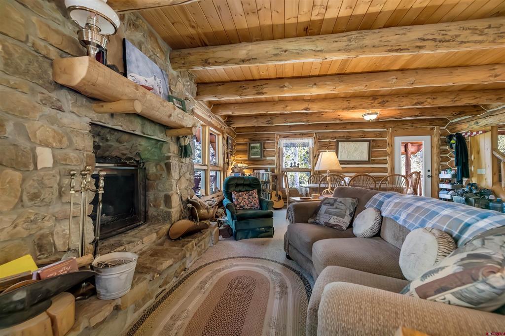 300C Columbine Drive Pagosa Springs CO 81147