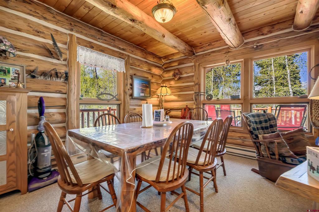 300C Columbine Drive Pagosa Springs CO 81147