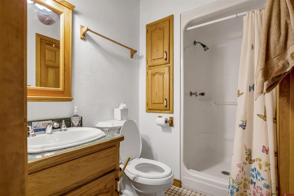 300C Columbine Drive Pagosa Springs CO 81147