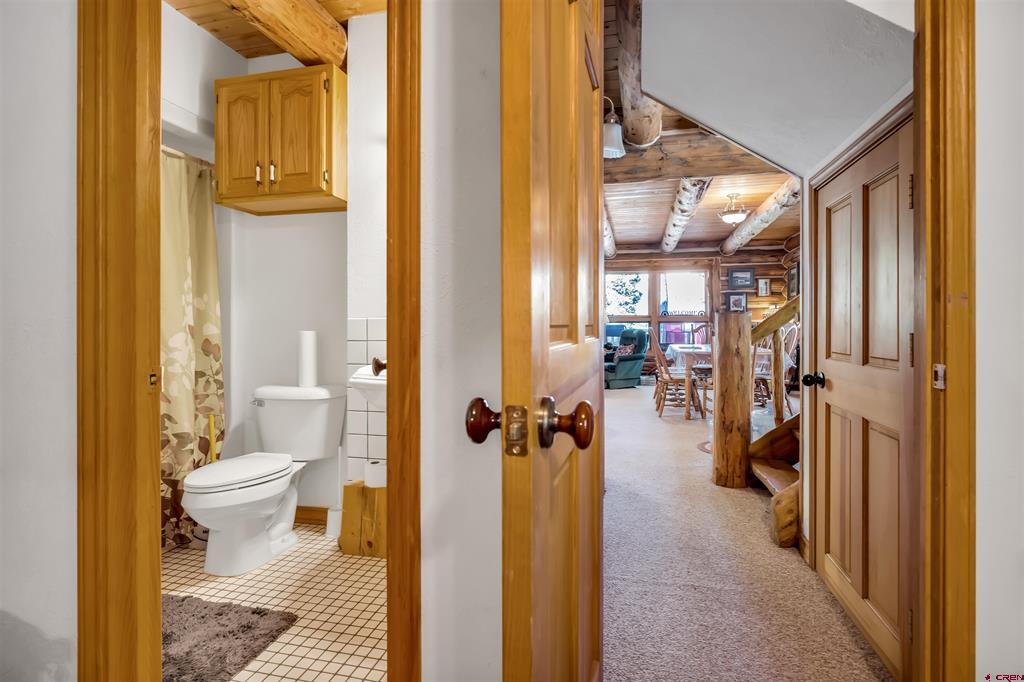 300C Columbine Drive Pagosa Springs CO 81147