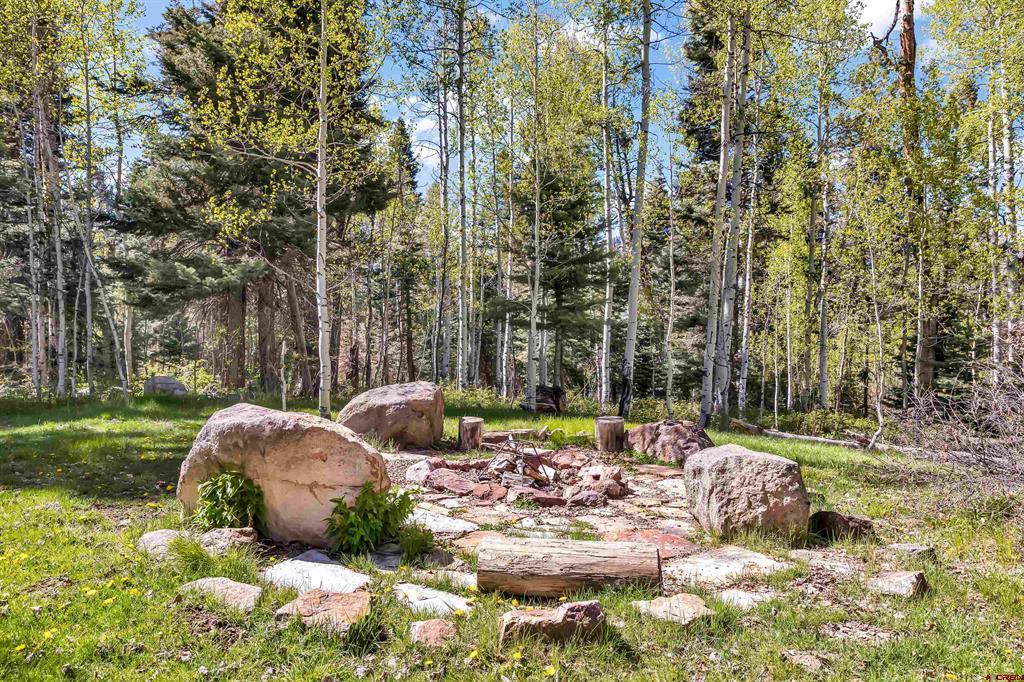300C Columbine Drive Pagosa Springs CO 81147