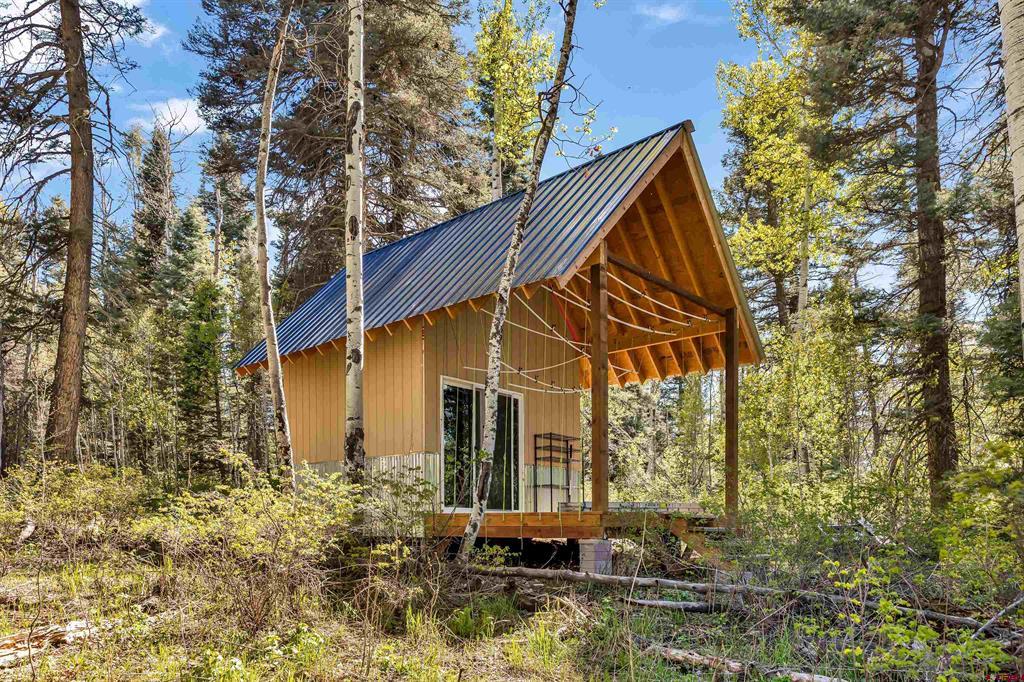 300C Columbine Drive Pagosa Springs CO 81147