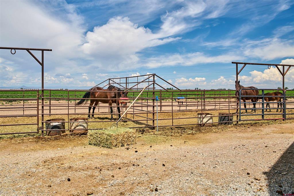 3475 E County Road 11 S Monte Vista CO 81144