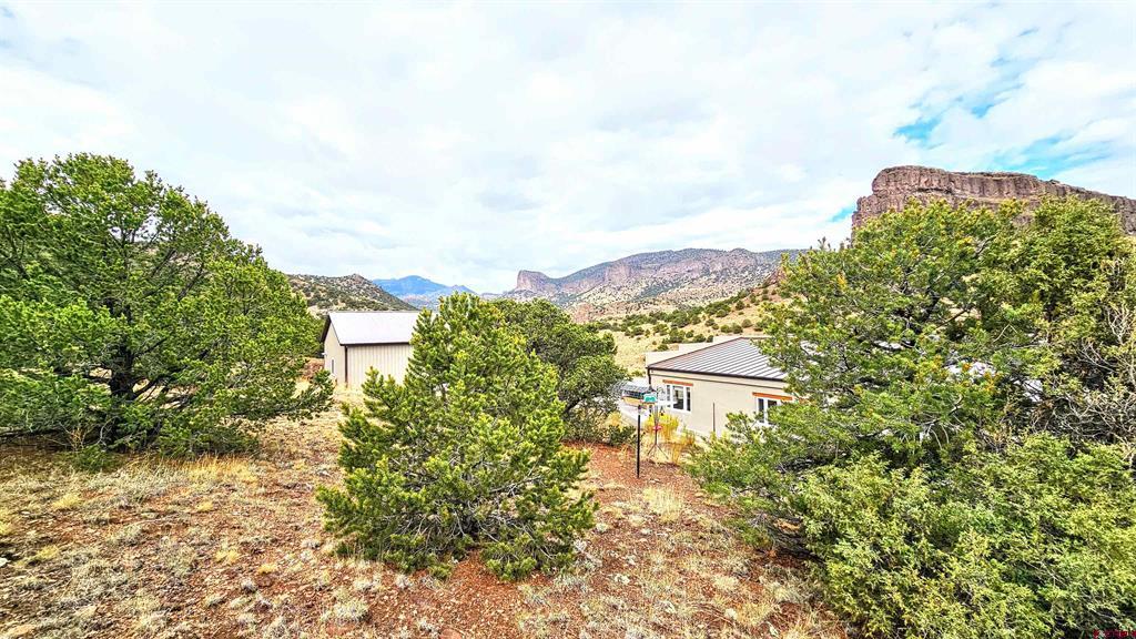 4100 Wilderness Canyon Del Norte CO 81132