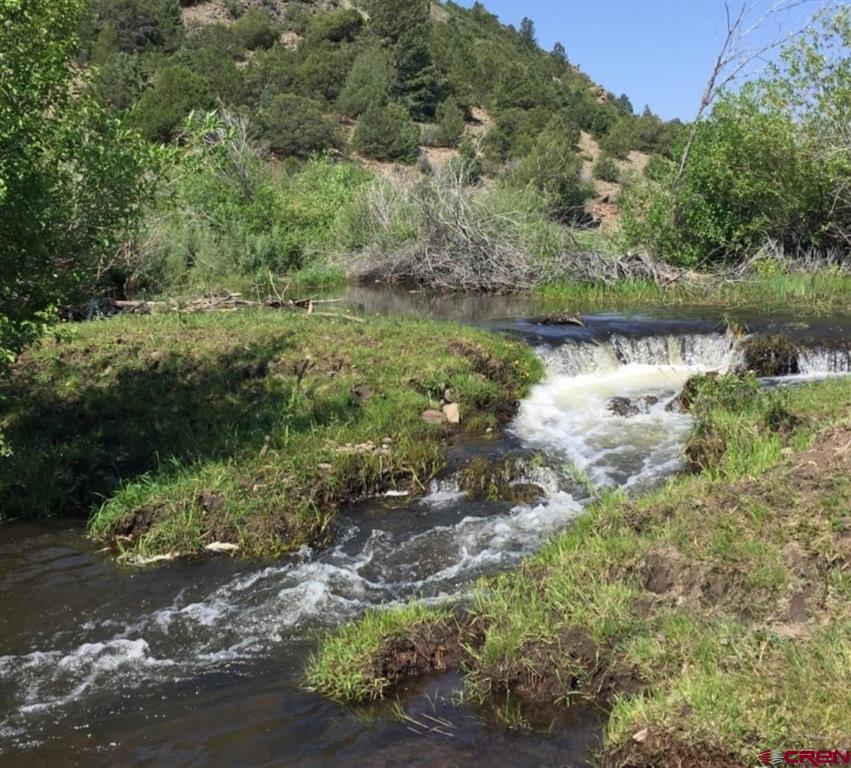 4100 Wilderness Canyon Del Norte CO 81132