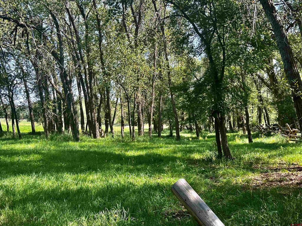 2777 County Road 225 Durango CO 81301