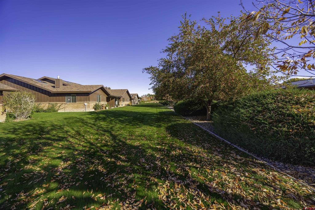 1119 Phillips Court Montrose CO 81401