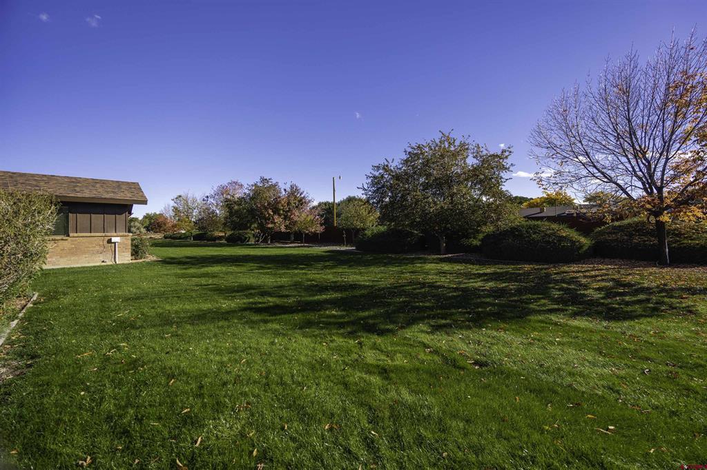 1119 Phillips Court Montrose CO 81401