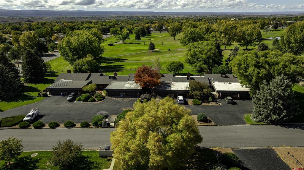 1119 Phillips Court Montrose CO 81401